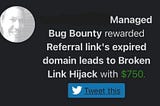 $750 Domain Hijacking Vulnerability