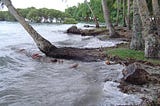 “Rising Seas Threaten the Existence of Papua New Guinea’s Carteret Islanders”