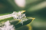 Connecting AWS SageMaker to SnowFlake