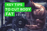 Key Tips to Cut Body Fat — dadbod 2.0