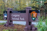 5 Memorable Sights of Congaree National Park