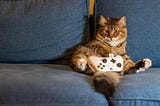 What I’m Doing With My One Wild and Precious Life on Black Friday