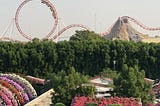 A roller coaster is the backdrop of an amusement park.