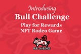 Intoducing Bull Challenge