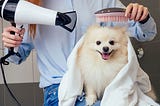 Pet Grooming Services