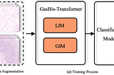 Gastric Histopathology Image Classification by Transformer, GasHis-Transformer