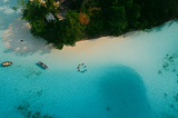 “There Are No Dolphins on Dolphin Island But What I Found Was Even More Unexpected”