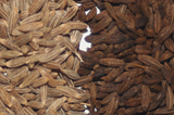 Toasted Cumin Seeds