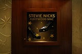 Stevie Nicks’ Shoes on Display at the Hard Rock Cafe, Florence, Italy