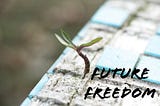 Future Freedom