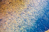 Modelling water for decision-makers-looking deeper into data for water treatment Nature-based…