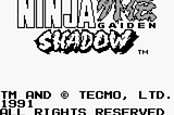 Ninja Gaiden Shadow