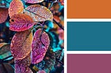 Color Palettes: Basic, Psychology, Harmonious combination, Branding, and Identity.