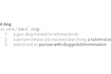 Introducing Base Bird Dog: Our approach to seed investing in Brazil and broader Latin America