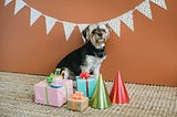 The Fool Proof Way to Always Pick Out The Perfect Gift for Anyone (Yes, Even For Fido)