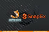 METASEER forges Strategic Ecosystem Partnership with SnapEx, a rising star in the CFD derivative…