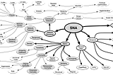 The SNA Taxonomy