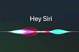 Thirty Minutes with Siri