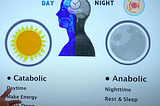 Self-tests to uncover your own metabolic patterns (TC Hale: 2023)