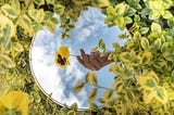 A mirror nestled in a leafy bush, showing the reflection of a hand holding a flower against a slightly cloudy sky.