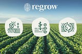 Regrow.Ag: Doubling Down on Markets and Founders