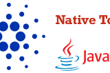 Cardano-client-lib: Minting a new Native Token in Java — Part III