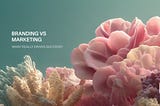 Branding vs. Marketing: What Really Drives Success?