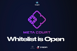 New Whitelist opens on TruePNL — introducing MetaCourt