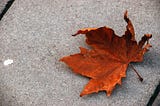 A maple leaf, browning and crumbling, lying on a grey stone-tile.