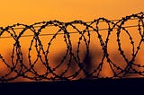 image of barbed wire coils in the sunset
