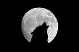 Years end, and the last full moon of 2020- the thirteenth of the year- was given the name ‘Wolf…