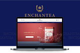 Case study: Designing a landing page for an artisanal tea brand