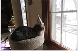 A cat with a party hat stares out of the window.