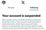 A Saturday Morning Surprise: Reflections on My Twitter Suspension