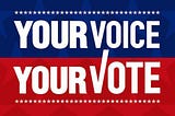Voting Matters But Mostly Your Voice
