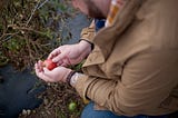 The Farmer. An Essential Worker?