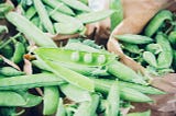 Bunch of green beans with one open showing peas in the pod