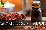 Amyris Essential Oil — An Alternative to Priciest Indian Sandalwood Essential Oil!