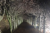 The Dark Path of Data Breaches