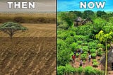 EARTH & US: Africa’s “Great Green Wall” Food Forest; Barichara’s Water