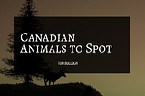 Canadian Animals to Spot