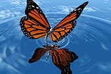 The Butterfly Effect: The Changing Winds on the SIEM Market