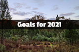 My Goals for 2021