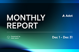 Adot Monthly Report — December 2024