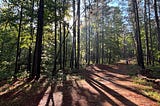 I Somehow Survived a 5K in the Woods