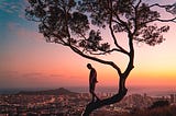a man walking on a tree with the sunset and a city view in the background