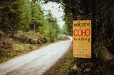 A curving rural driveway with a hand-painted yellow, red, and green sign saying “Welcome to CoHo Landing. Please drive slow and keep dogs on leash.”