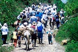 El Cambio Climático y el Desplazamiento forzado en México