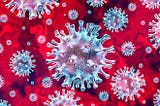 The most effective external killers of Coronavirus (COVID-19).