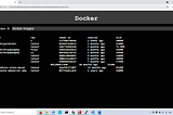 Setting Up Docker Terminal On WebApp….